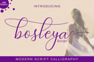 Bosleya Font Review: A Handwritten Script Built for Brand Designers