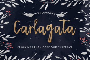 Carlagata: A Handwritten Font That Brings Campaigns to Life