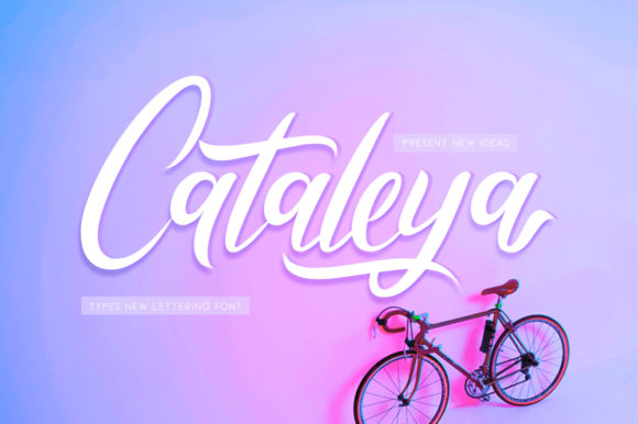 Cataleya Font Review: A Modern Script With Striking Style