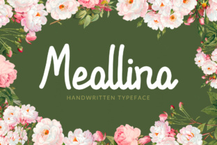 Meallina: A Designer’s Take on a Modern Script Font