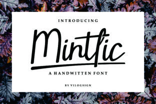 Mintlic: A Designer's Review for Real Project Use