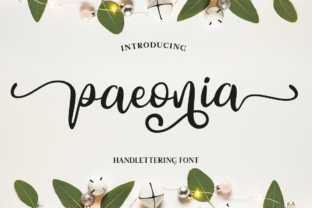 Paeonia: A Web Designer’s Take on This Script Font
